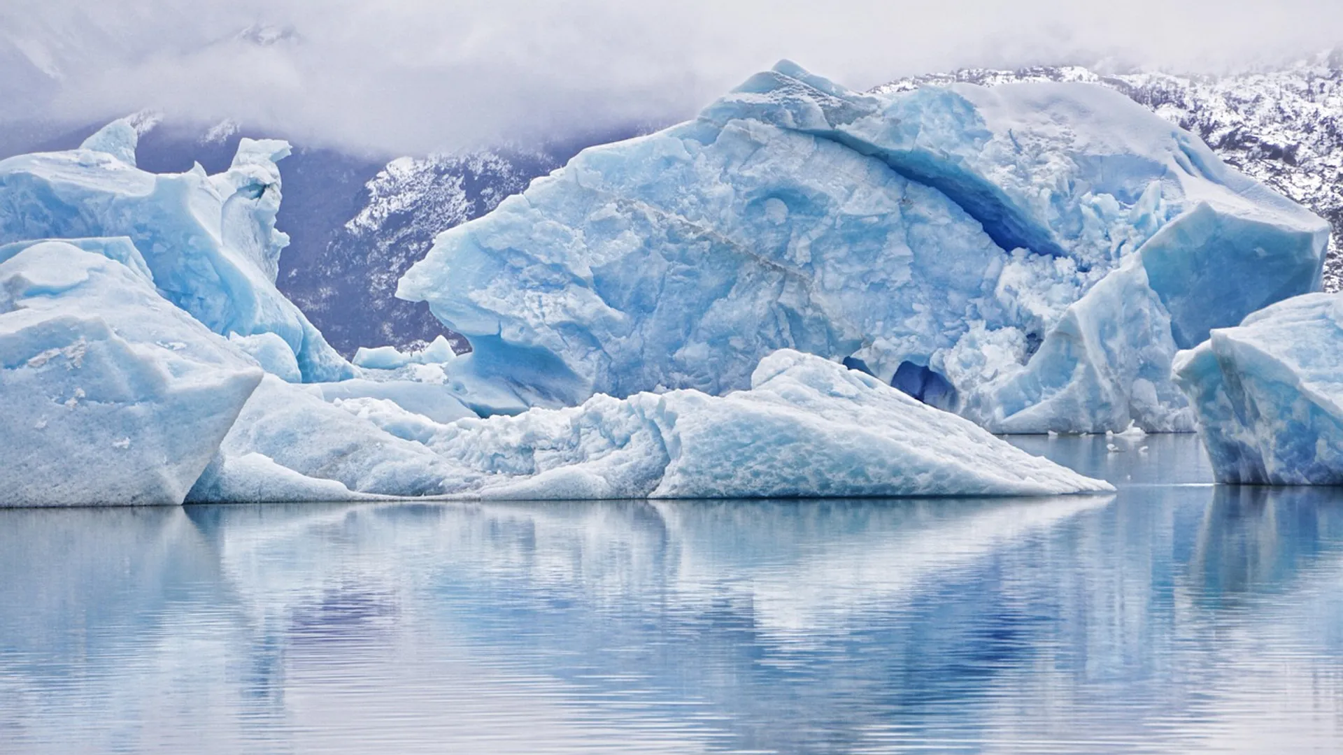 essencial-rosa-patagonia-morar-em-clima-frio-seco