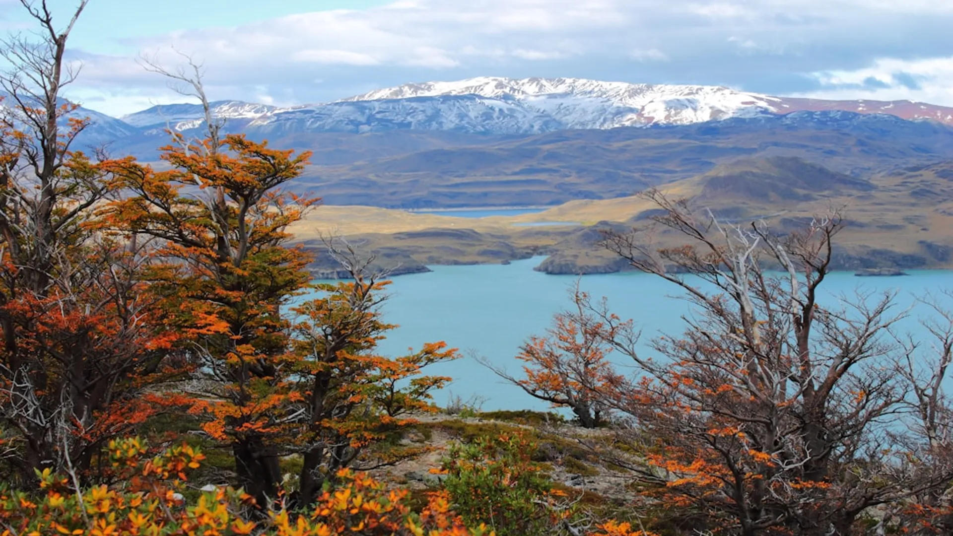 essencial-viagens-frequentes-patagonia-cidade-umida